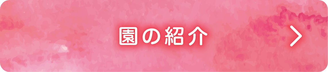 園の紹介