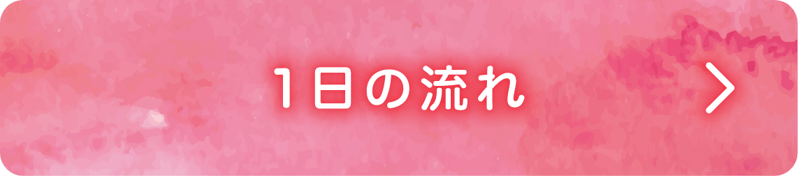 1日の流れ